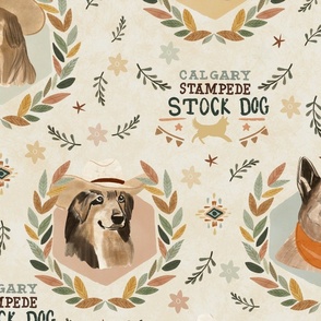 Calgary Stampede - stock dog championship large - dog winner portrait - german shephard - rodeo dog