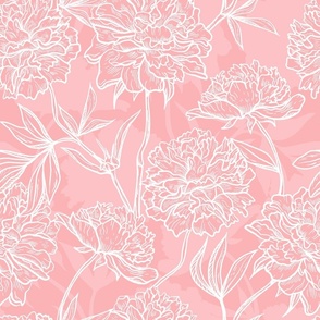 Peony Flowers / Pink White