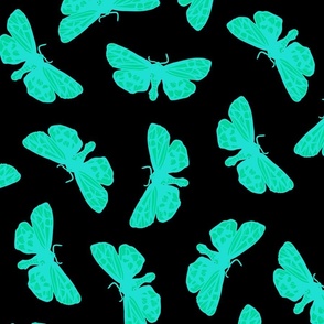 Scattered Butterflies_aqua and miami green on black