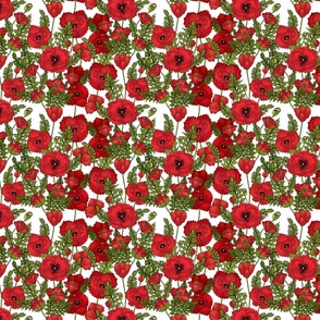 Red Poppy Field (White small scale)