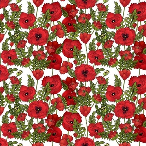 Red Poppy Field (White)