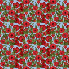 Red Poppy Field (Soft Blue small scale)