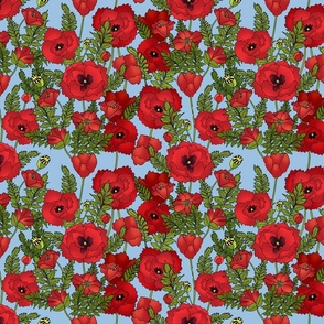 Red Poppy Field (Soft Blue)