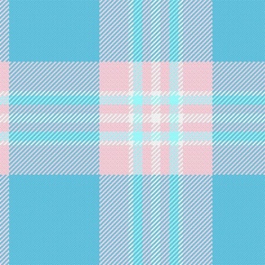 Picnic Blanket Plaid in Baby Blue and Baby Pink 