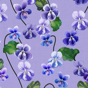large violets on violet