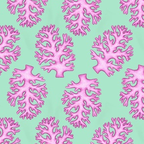 Pink seaweed on green background