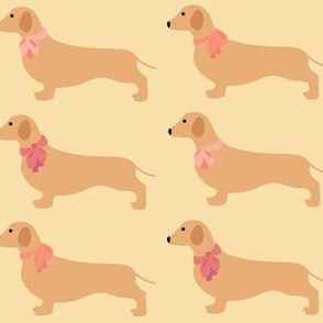 Dachshunds with pink bows on lemon yellow 
