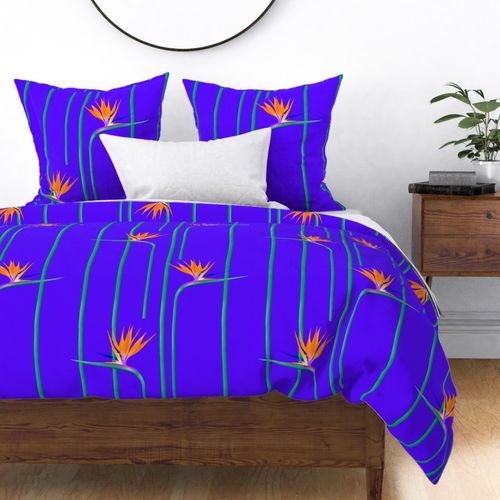 birds of paradise purple