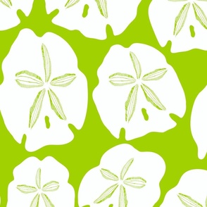 Simply Sand Dollars in bright lime