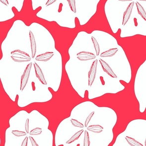Simply Sand Dollars in  Red Apple