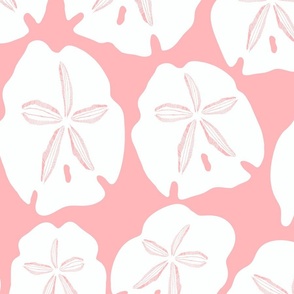 Simply Sand Dollars in  Pink Coral