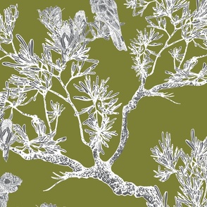Modern Chinoiserie, Olive Green and White with Cockatoo, Leaves, Trees, Large 
