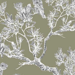 Modern Chinoiserie, Sage Green and White with Cockatoo, Leaves, Trees, Large 