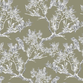 Modern Chinoiserie, Sage Green and White with Cockatoo, Leaves, Trees, Med