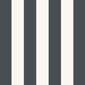 Big Stripe_ Charcoal_ Grey_ Stripe