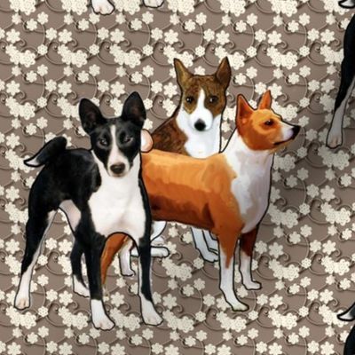 three basenji dogs