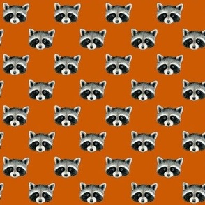 Racoon faces in rows on fire, orange - small scale