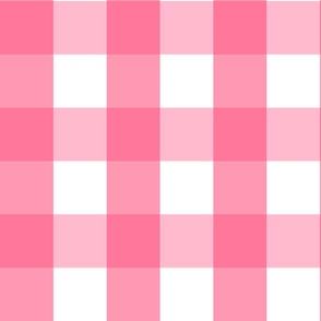pink gingham - medium 3"