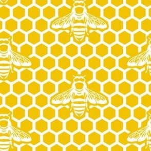 Bee honeycomb in yellow and white. Small scale 