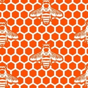 Bee honeycomb in orange and white. Small scale 