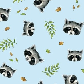 Racoon faces and leaves, non-directional, on light blue - medium scale