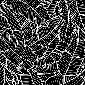 MODERN TROPICAL BANANA PALM LEAVES TOSSED LINEAR OUTLINE-MONOCHROMATIC-BLACK AND WHITE