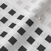 birch_gingham