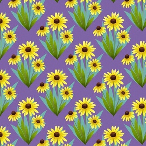 Black Eyed Susan - purple