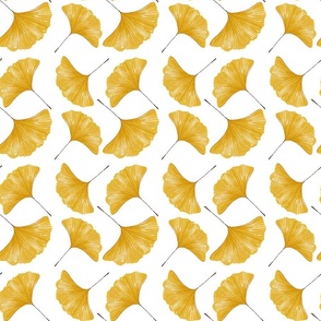 Watercolor Yellow Ginkgo Leaves On White