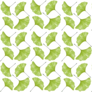 Watercolor Green Ginkgo Leaves On White
