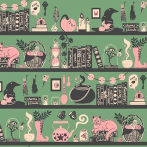 Medium // Spooky Halloween Cottage Core Witch Bookshelf in Green and Pink 