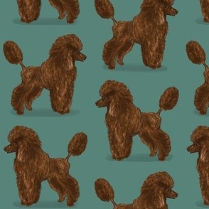 Custom Brown Poodle on Light Teal