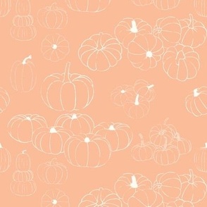 Medium / White Pumpkins in Peach fuzz / Line art