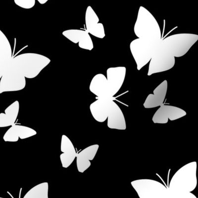 Black And White Butterflies