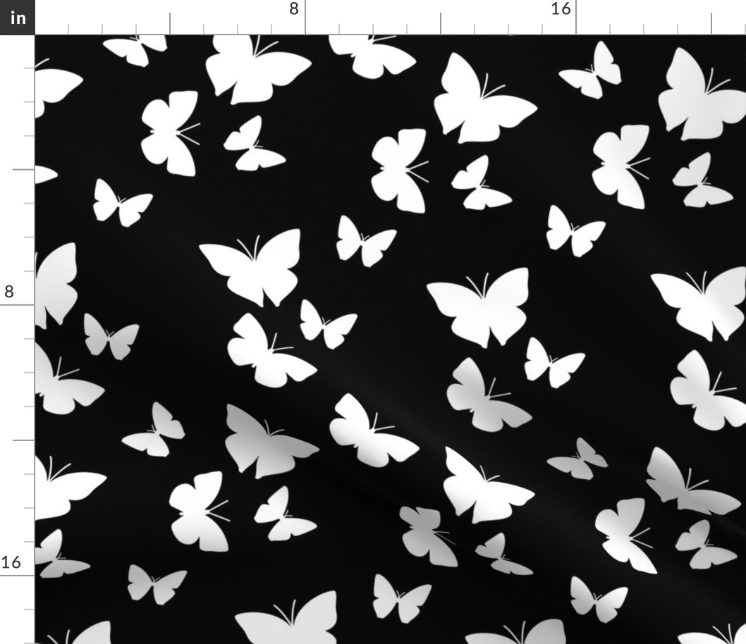 Black And White Butterflies