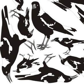 Magpie Multi-Directional