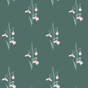 Traditional, vintage snowdrops. Dusty green background. 