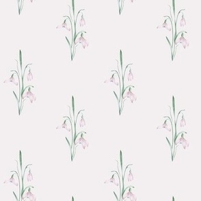 Traditional, vintage snowdrops. Dusty pink background. 