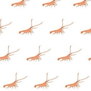 Cute Crayfish Critters Blender //  Tiny Orange Red Crustaceans // Small