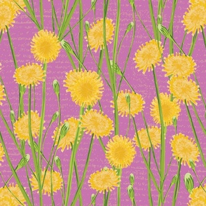 Autumn Hawkbit or Fall Dandelion Bright Pink and yellow Textured Floral