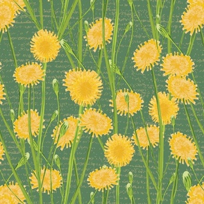 Autumn Hawkbit or Fall Dandelion Green and yellowTextured Floral