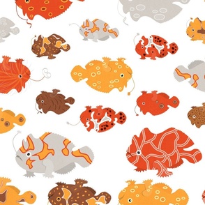 Frogfish Formation - Orange And Yellow On Crisp White