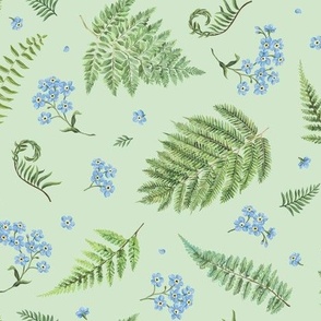 Forget-me-nots and fern (light green)