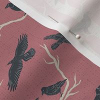 S - White Raven - Pink Texture Background