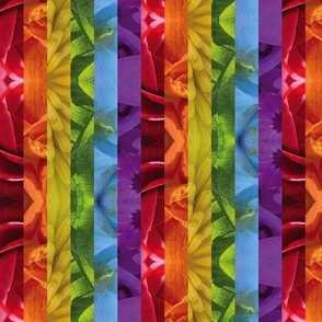 [S] Rainbow Floral Stripes Bright - Happy Pride Botanical Garden - Original Photography