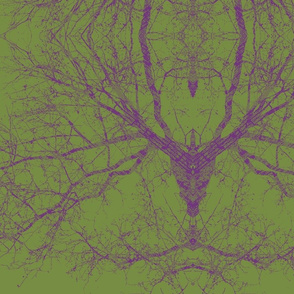 SpiderTree II