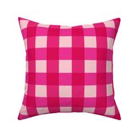 Electric  Gingham in hot pink and pink