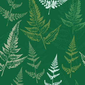 Mixed green ferns