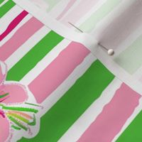 Lily P Hibiscus Stripe - pink/green