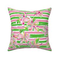 Lily P Hibiscus Stripe - pink/green